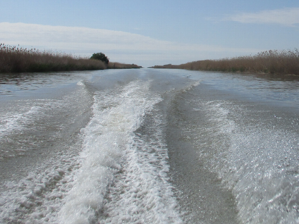 Rychansky Canal