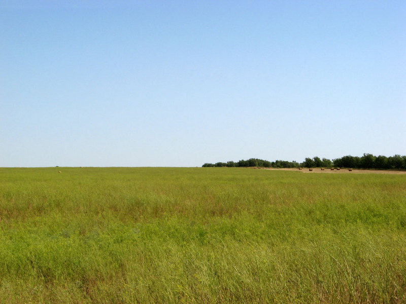 View to the North