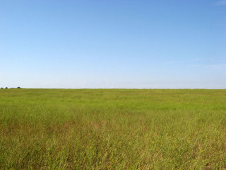 #1: View to the South