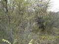 #4: View to the south