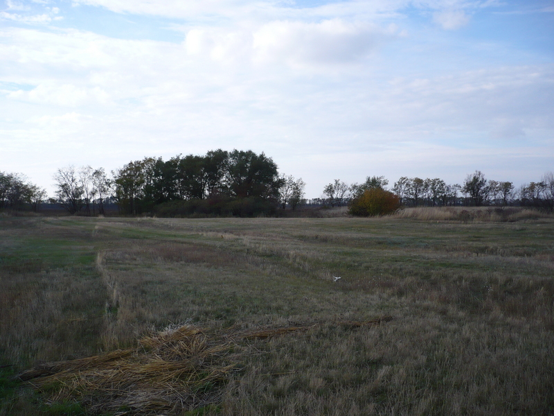 View to the north