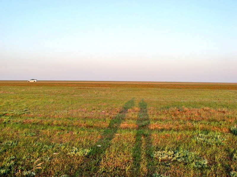 View to the East