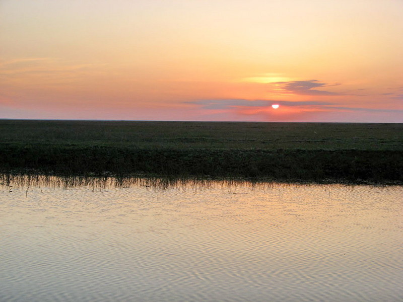 Sunset in the steppe