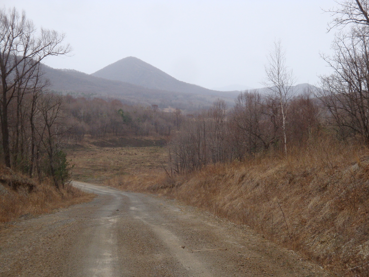 Местный пейзаж / Local landscape