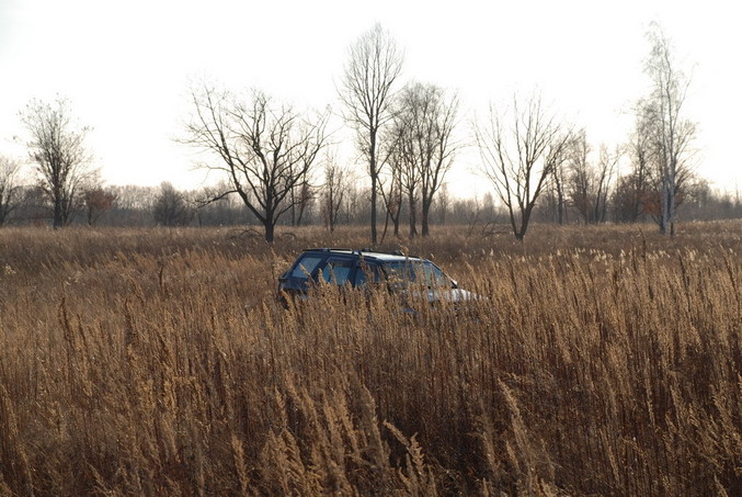 Car in the grass