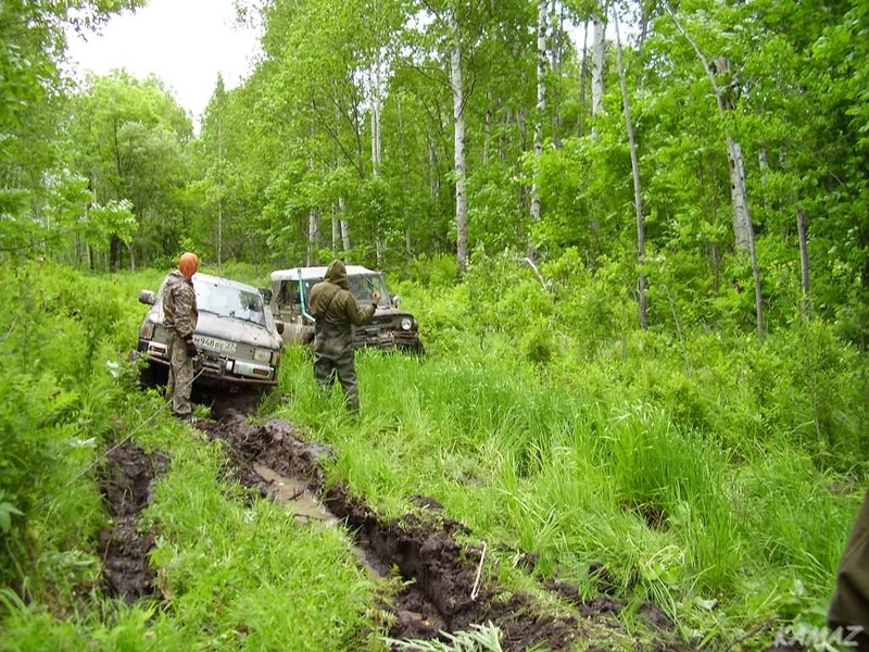 Forest  'highway'/Лесной хайвей