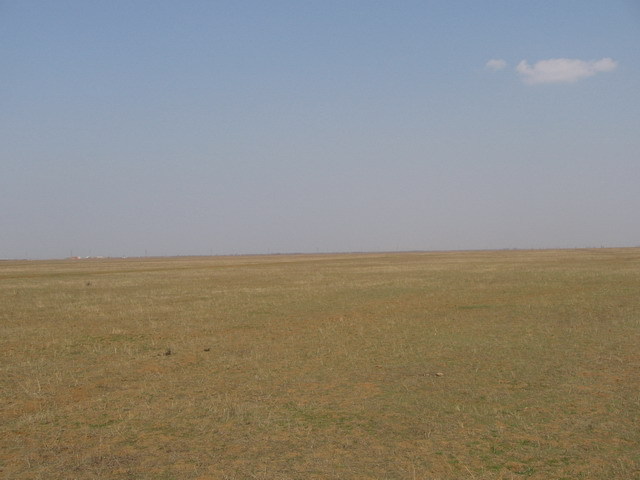 North view