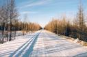 #9: Long, straight, flat logging road heading towards confluence.