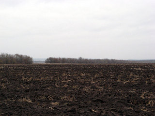 #1: View to the North
