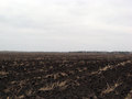 #2: View to the East