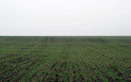 #4: View to the East