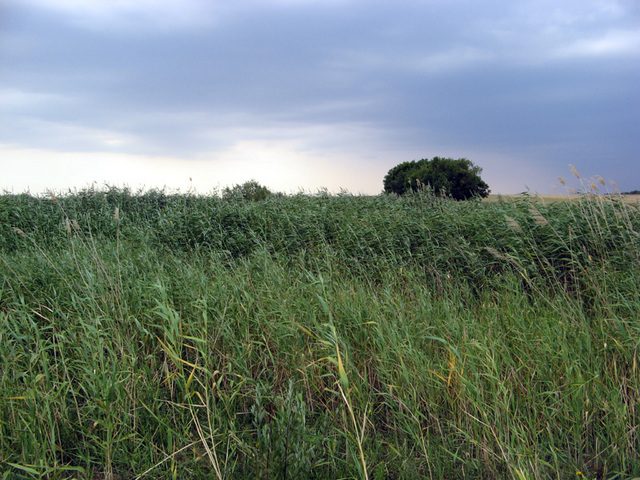 View to the confluence