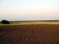 #2: View to the east