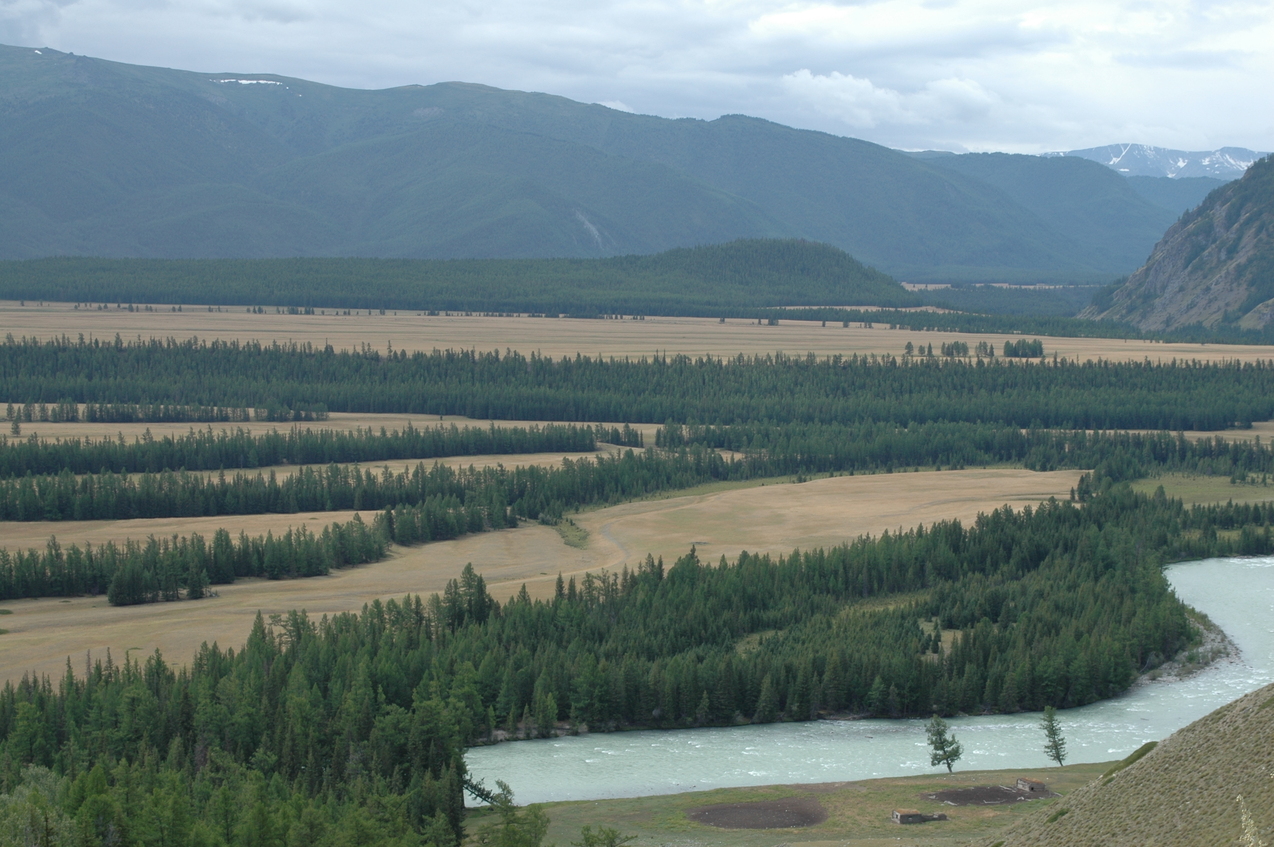 Степь Самаха / Samakha steppe