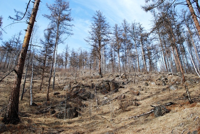 Общий вид / General view