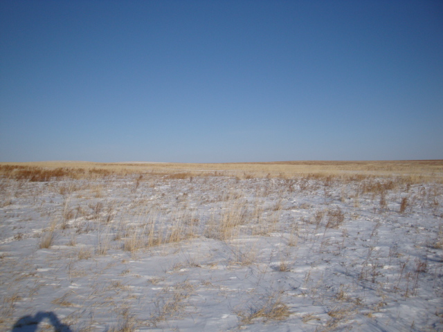 Вид на Восток/East view