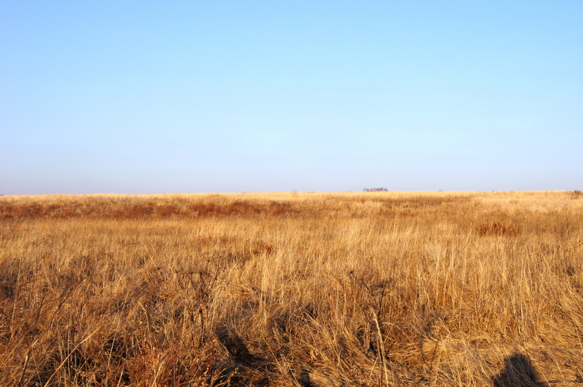 На Север/Looking North