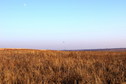 #4: На Восток/Looking East