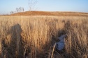 #9: Замерзшее болотце/Little frozen bog