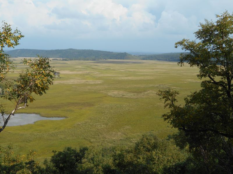Вид на болото с высоты птичьего полёта / Bird's-eye view to the marshland