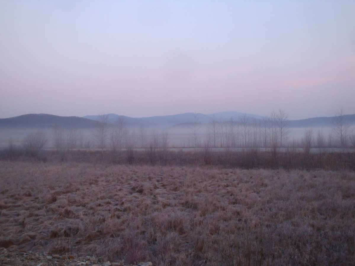 Утренний туман / Morning fog