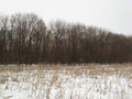 #2: View to the North