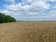 #3: East view