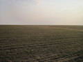 #4: South view