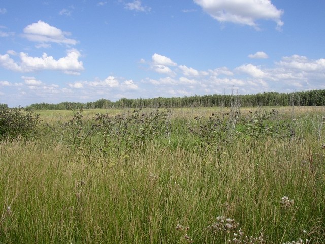 View to the east