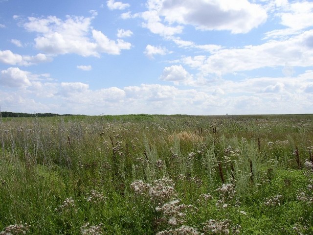 View to the south