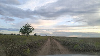 #10: Approaching Road 2