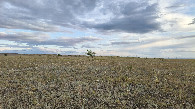 #2: South-west view