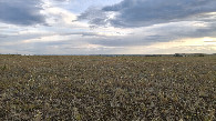 #3: West view