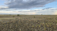 #4: North-east view