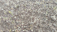 #6: Ground zero