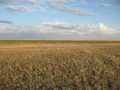 #3: East view