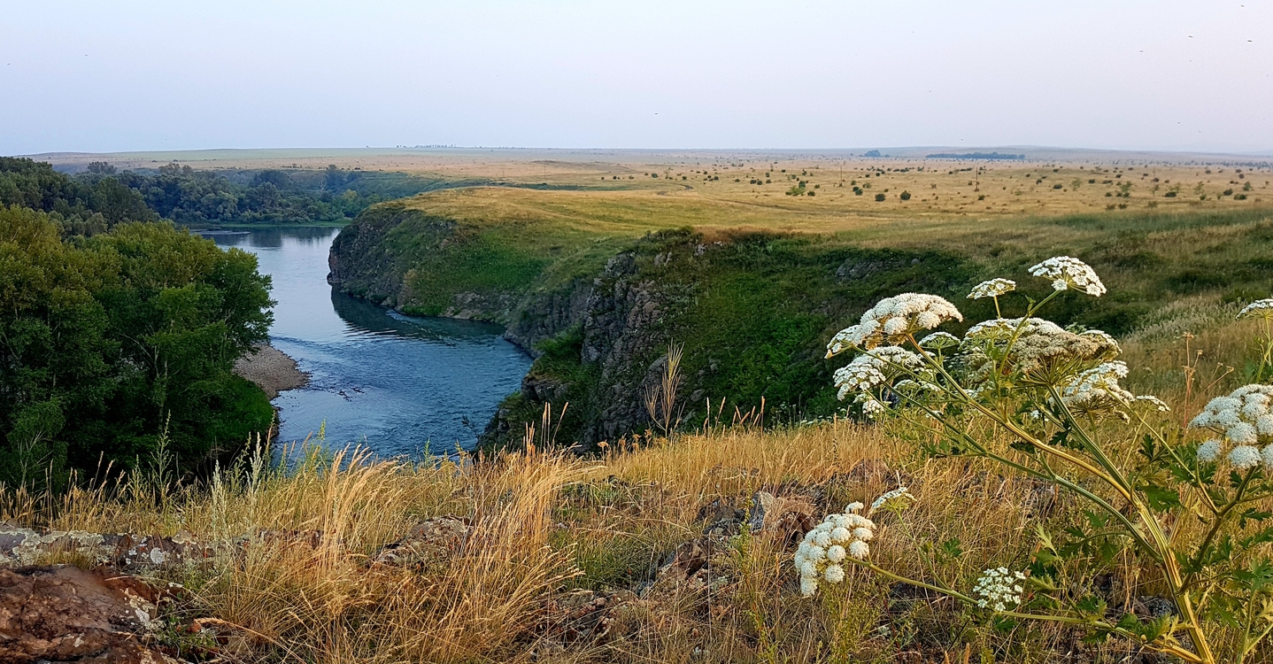 river Charysh at Kharlovo