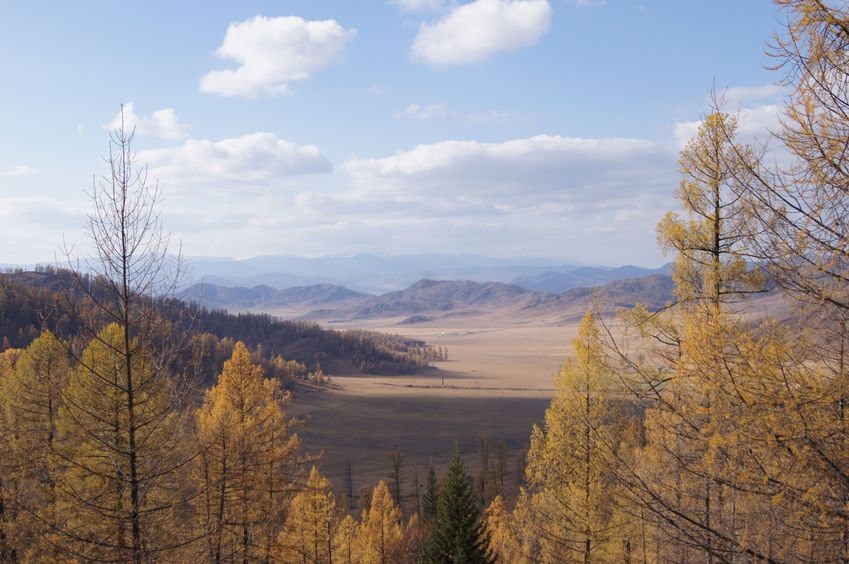 На запад / Facing West