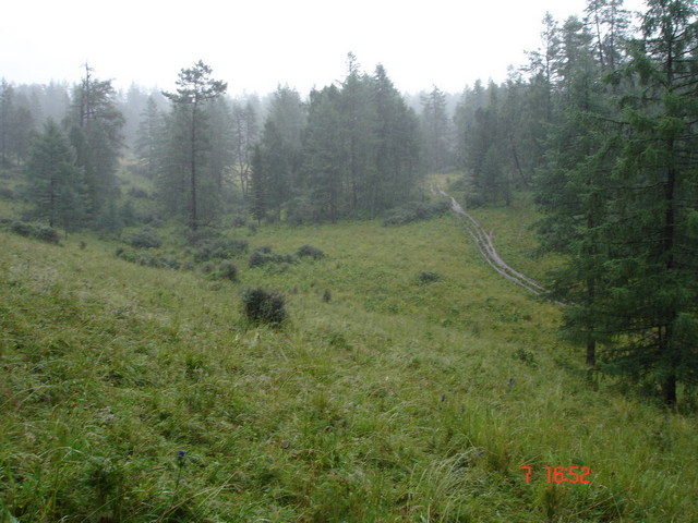 View from CP to the West.