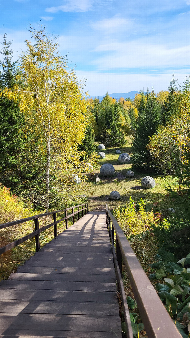 Health trail / тропа здоровья (ver)