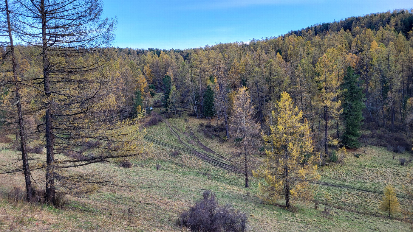 View towards parking / вид в сторону парковки