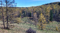 #6: View towards parking / вид в сторону парковки