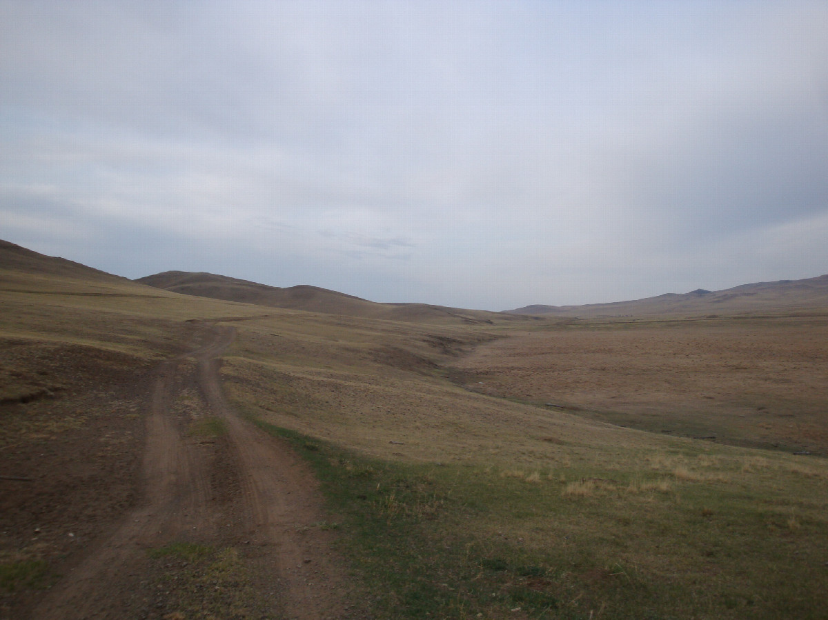 Полевая дорога / Field road