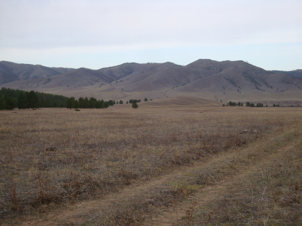 Местный пейзаж / Local landscape