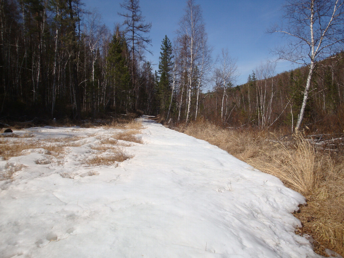 По снегу / Over snow