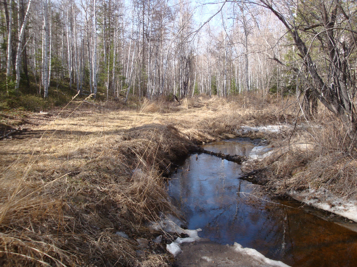 Вдоль речки / Along the river