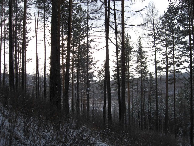 South