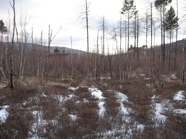 Общий вид/General view