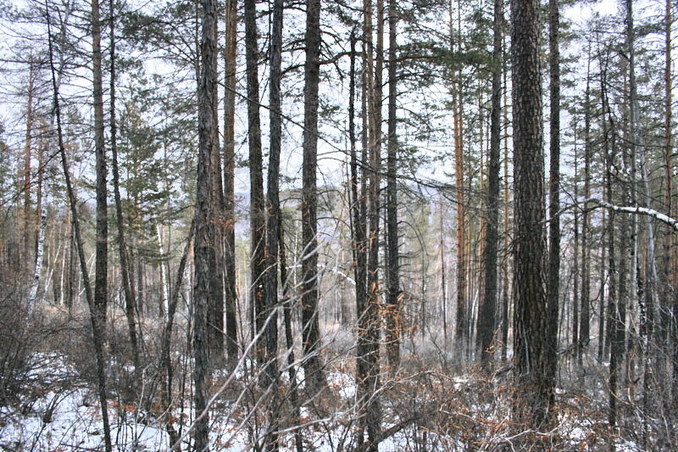 Вид на Восток / East view