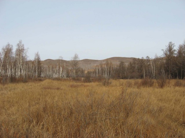 North view